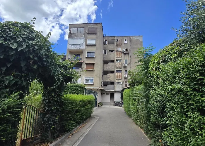 White's Nest 公寓 *